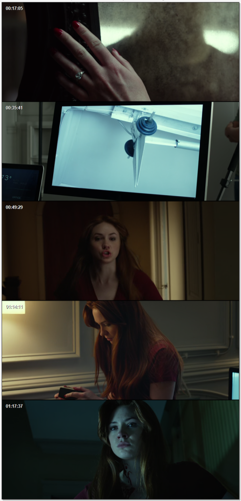 Download Oculus (2013) Dual Audio {Hindi-English} 480p | 720p